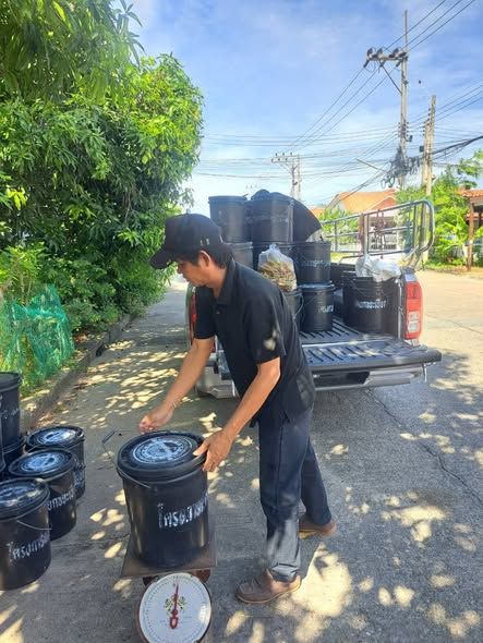 ลงพื้นที่เก็บขยะเปียก ประเภทผัก เศษอาหาร เพื่อนำไปทำปุ๋ยอินทรีย์ พร้อมมอบถุงปลูกให้สมาชิกที่เข้าร่วมโครงการ เพื่อแจกปุ๋ยอินทรีย์ให้กับประชาชนต่อไป