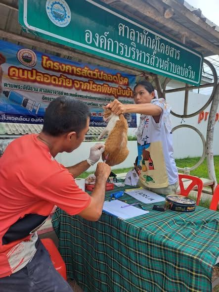 ลงพื้นที่โครงการสัตว์ปลอดโรค คนปลอดภัย จากโรคพิษสุนัขบ้า ตามปณิธาน ศาสตราจารย์ ดร.สมเด็จพระเจ้าน้องนางเธอเจ้าฟ้าจุฬาภรณ์วลัยลักษณ์ อัครราชกุมารี กรมพระศรีสวางควัฒน วรขัตติยราชนารี ประจำปีงบประมาณ พ.ศ.2569