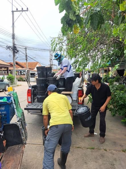  ลงพื้นที่เก็บขยะเปียก ประเภทผัก เศษอาหาร เพื่อนำไปทำปุ๋ยอินทรีย์ พร้อมมอบถุงปลูกให้สมาชิกที่เข้าร่วมโครงการ เพื่อแจกปุ๋ยอินทรีย์ให้กับประชาชนต่อไป