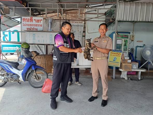 เข้าร่วมโครงการสัตว์ปลอดโรค คนปลอดภัย จากโรคพิษสุนัขบ้า ตามปณิธาน ศาสตราจารย์ ดร.สมเด็จพระเจ้าน้องนางเธอเจ้าฟ้าจุฬาภรณ์วลัยลักษณ์ อัครราชกุมารี กรมพระศรีสวางควัฒน วรขัตติยราชนารี ประจำปีงบประมาณ พ.ศ.2569