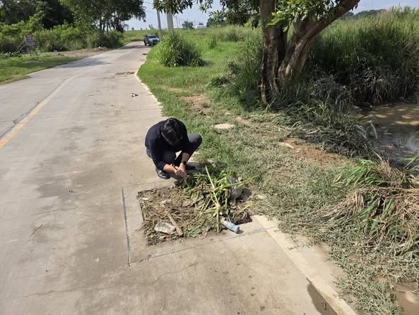  มอบหมายให้เจ้าหน้าที่กองช่าง ลงพื้นที่ตรวจสอบ กรณีน้ำท่วมผิวทางหลังบริษัทเกียร์ล็อก หมู่ที่ 3  พบมีวัชพืชและขยะอุดตันฝาตะแกรงบ่อพัก ทำให้น้ำไม่สามารถระบายลงท่อน้ำทิ้งได้