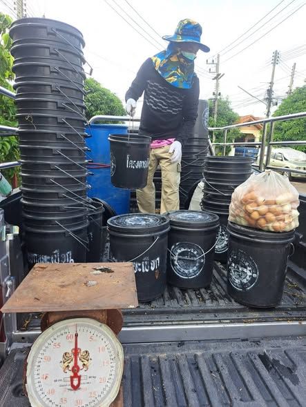  ลงพื้นที่เก็บขยะเปียก ประเภทผัก เศษอาหาร เพื่อนำไปทำปุ๋ยอินทรีย์