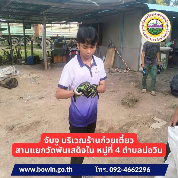 มอบหมายให้งานป้องกันและบรรเทาสาธารณภัย สำนักปลัด  จับงู 