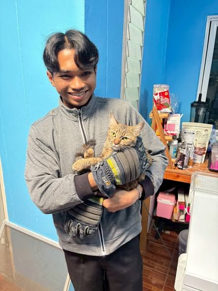 งานป้องกันและบรรเทาสาธารณภัย สำนักปลัด ให้การช่วยเหลือในการจับแมว หมู่บ้านเคหะ หมู่ที่ 6 ตําบลบ่อวิน