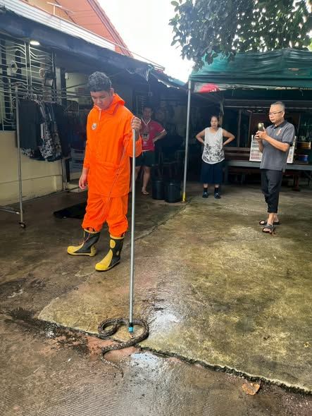 งานป้องกันและบรรเทาสาธารณภัย สำนักปลัด  จับงู  หมู่บ้านนุชนาถ หมู่ที่ 3  ตำบลบ่อวิน
